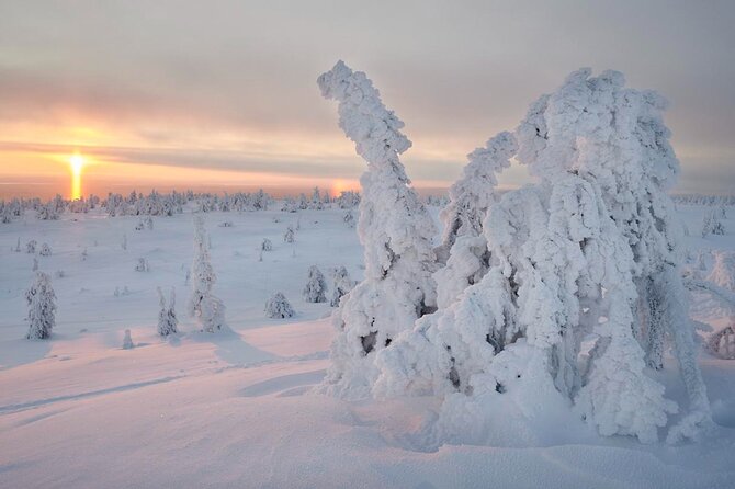 Winter Wonderland Hiking - Choosing the Perfect Trail for Winter Adventure