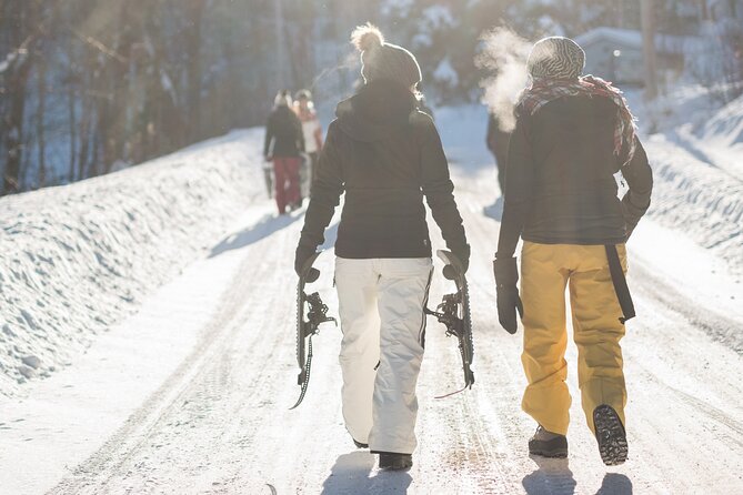 Winter Yellowstone Tour (With Optional Hike or Snowshoe) - Expert Guide and Naturalist