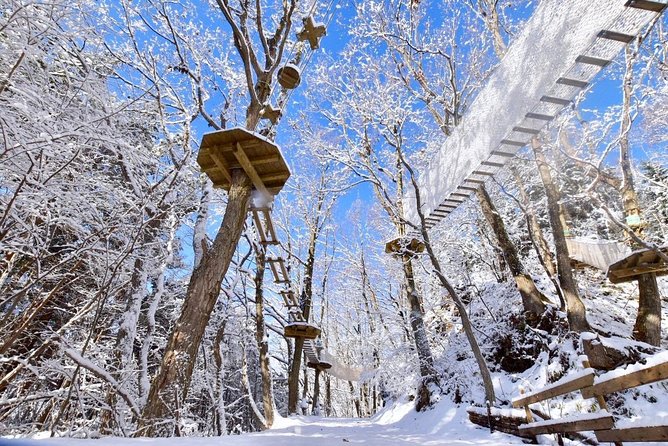 Winter Zipline and Snowshoe Adventure - Group Pricing Options
