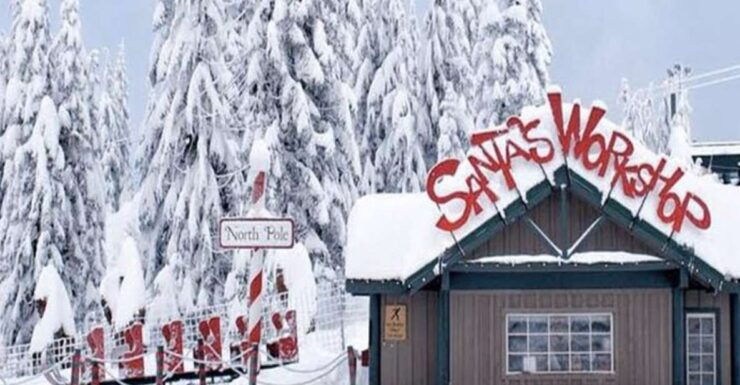 WinterFun at North Shore Mountains-Grouse,Seymour & Cypress - Grouse Mountain Ziplining Experience
