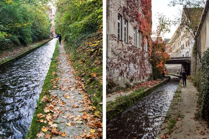 Winterthur Foxtrail Alban - Meeting and Pickup