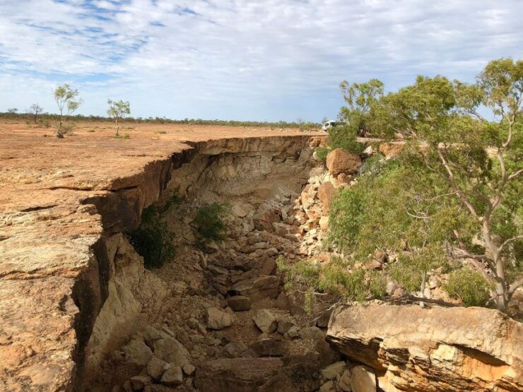 Winton: Bladensburg National Park Half Day Tour - Experience and Wildlife Encounter