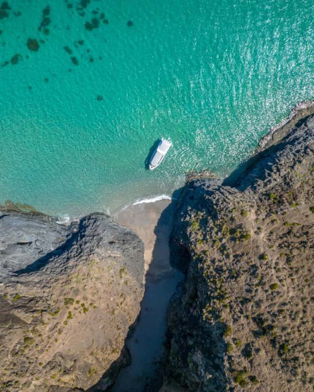 Wirrina Cove: Coastal Sightseeing Boat Tour with Seal Colony - Scenic Highlights and Geological Formations