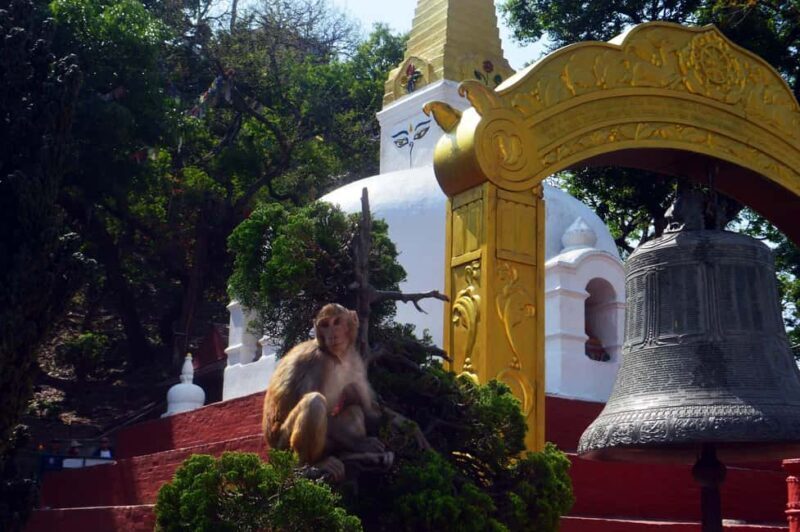 Wisdom Eyes of Kathmandu: An exploration of Buddhist Stupas - FAQ