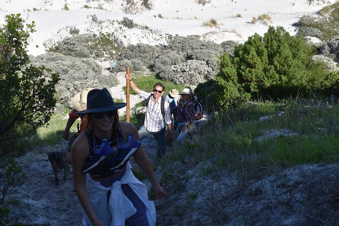 Wisdom in Nature Personal Growth Journey - Reflections on Self-Discovery