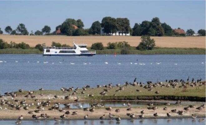 Wismar: Harbor Sightseeing Cruise - Inclusions