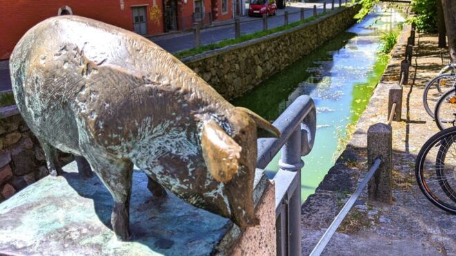 Wismar: Self-Guided Old Town Walk to Explore the City - Selecting Participants and Date