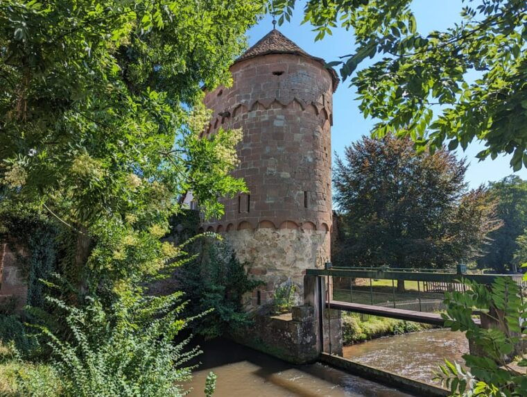 Wissembourg: Highlights Walking Tour - Local Dining and Drinking Recommendations