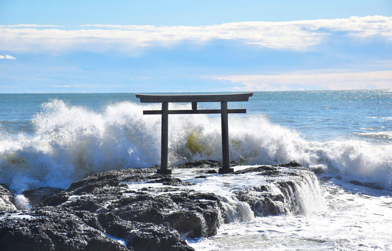 Wisteria Season Limited: Day Trip from Tokyo: Hitachi Seaside Park + Kamisuso Torii Gate + Ashikaga Flower Park - Timing, bloom dates and small preparations that matter