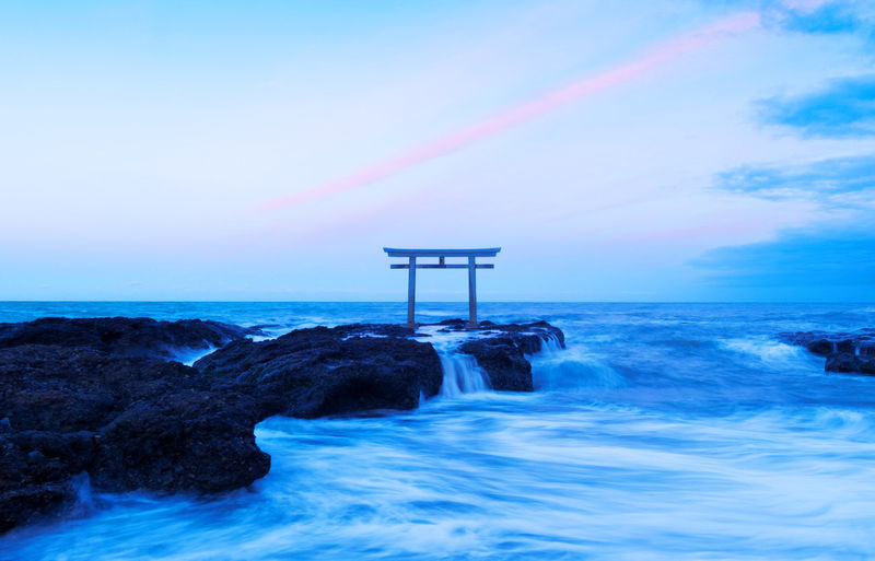Wisteria Season Limited: Day Trip from Tokyo: Hitachi Seaside Park + Kamisuso Torii Gate + Ashikaga Flower Park - Should you book this Tokyo flower day trip?