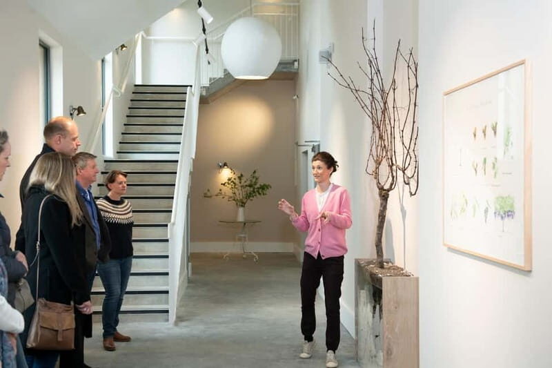 Wiston Estate: Winery Tour and Tasting - An In-Depth Look at the Wiston Estate Winery Tour