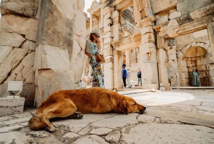 With Best Guides Ephesus Ancient City&Virgin Marys House - Itinerary Highlights