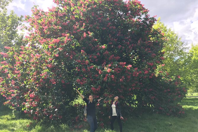 Within Londinium- Scavenger Hunt - Accessibility Details