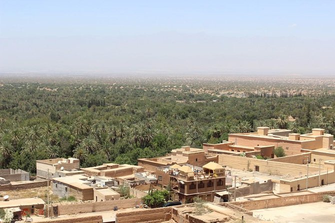 Withlocale Taroudant Tiout Oasis Tour From Agadir With Lunch - Tour Highlights and Itinerary
