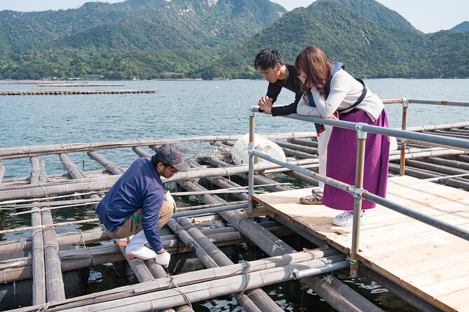 Witness an Oyster Harvest & Interact With Local Oyster Farmers! - Inclusions