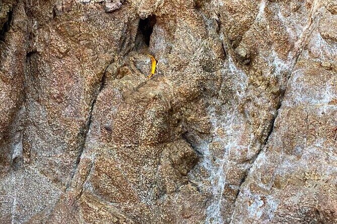 Wixárika Sacred Ritual: Purify your spirit in nature - The Sum Up