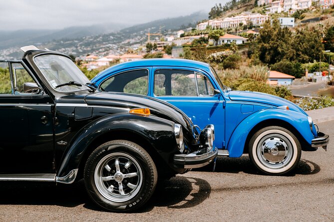 WL Private Classic Tour in North Side of Madeira - Booking Process