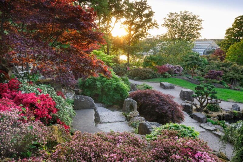 Woking: Royal Horticultural Society Wisley Garden Ticket - Who Should Visit Wisley?