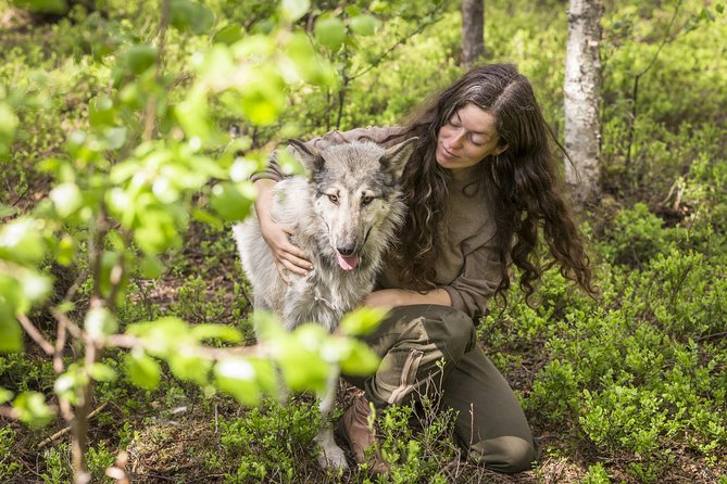 Wolfdog Farm Visit in the Arctic Wilderness  - Rovaniemi - Pricing and Booking Details