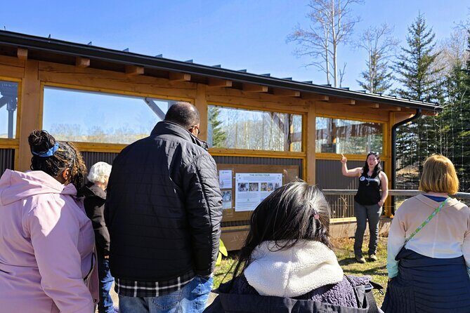 Wolfdog Sanctuary and Banff Day Trip - In The Sum Up