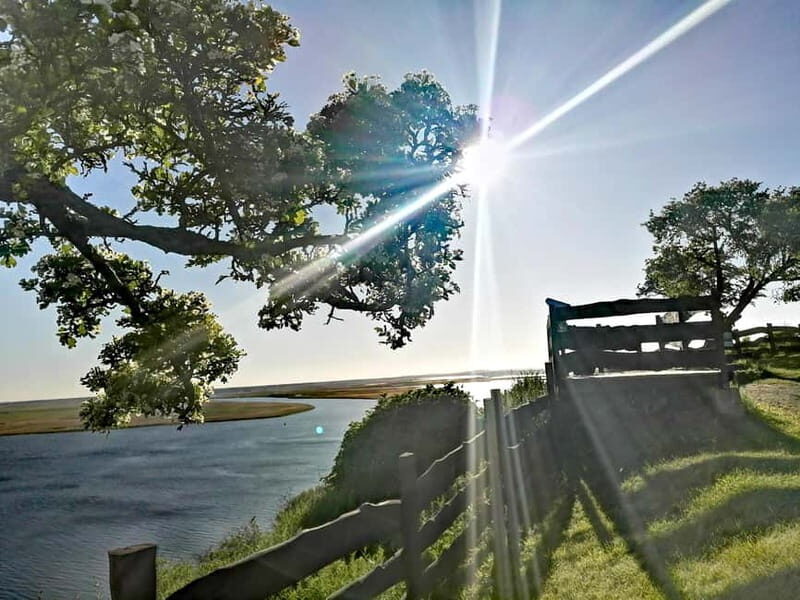 Wollin 3-island tour Land of 44 islands - Who Would Enjoy This Tour?