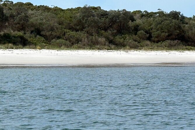 Wollongong and Kiama South Coast NSW Tours - Good To Know