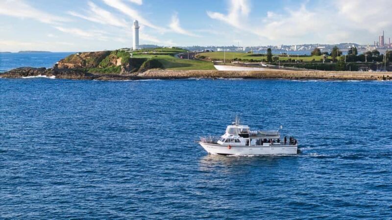 Wollongong Deep Sea Fishing Charter with Breakfast - Weekday - An Honest Look at the Wollongong Deep Sea Fishing Charter