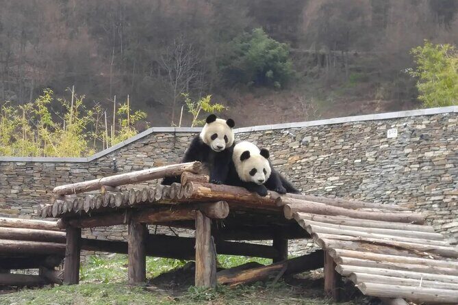 Wolong Panda Base Private Day Tour Optional Volunteering - FAQ Section