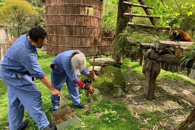 Wolong Panda Base Private Day Tour Optional Volunteering - Final Thoughts