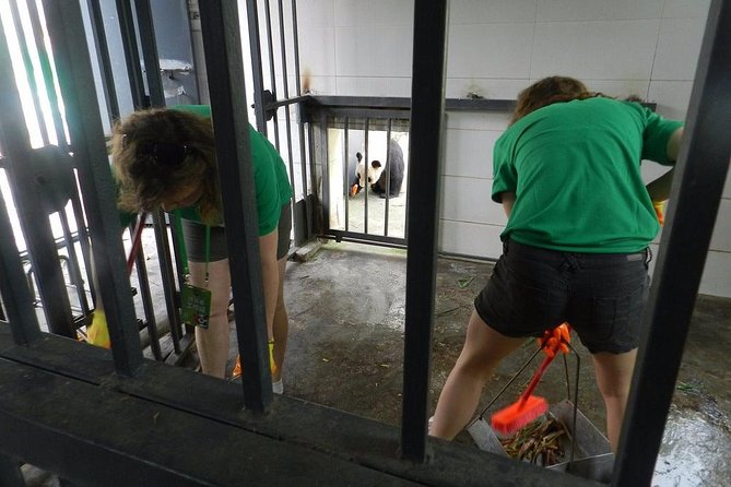 Wolong Panda Base Volunteering Program From Chengdu - Booking Information