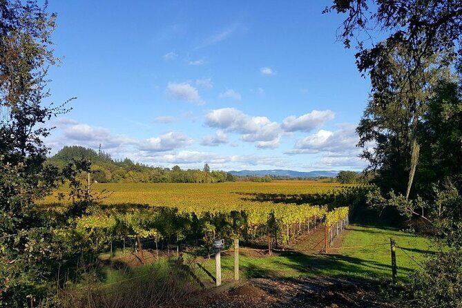 Women Only 5 day California Vineyards, Waves and Wine Tour - FAQs