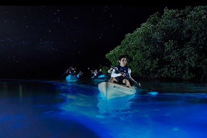 Women Only 5 day California Vineyards, Waves and Wine Tour - The Sum Up