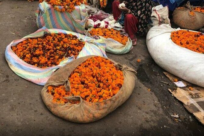 Women only Full Day Tour of Jaipur - Exploring the Jaipur Full Day Tour: What to Expect