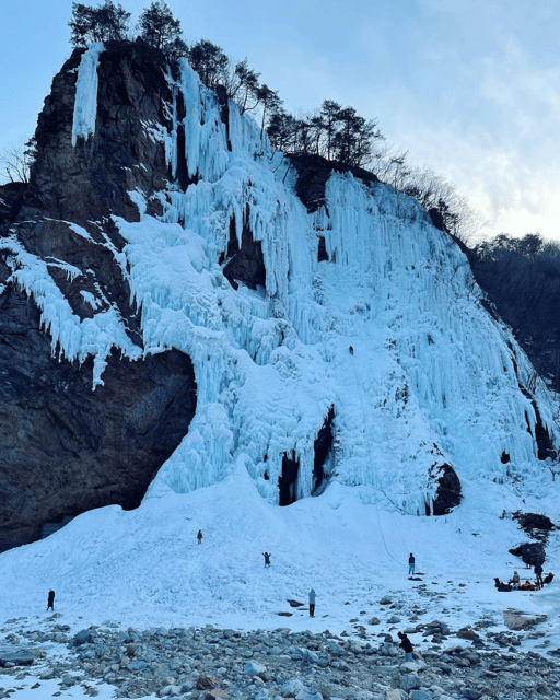 Wondae-ri Birch Forest and In-je Maebawi Icewall Day Tour - Itinerary Details