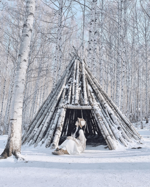 Wondae-ri Birch Forest and In-je Maebawi Icewall Day Tour - Pricing Information