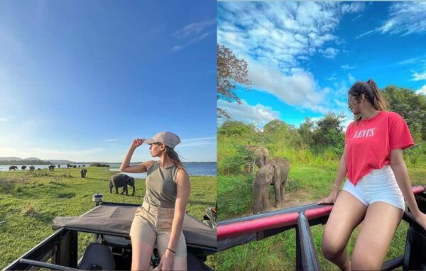 Wonder of Sigiriya Lion Rock and Minneriya Jeep Safari 4x4 - Inclusions and Amenities