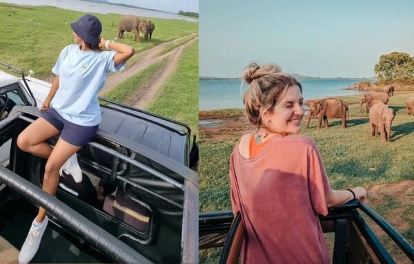 Wonder of Sigiriya Lion Rock and Minneriya Jeep Safari 4x4 - Important Visitor Information