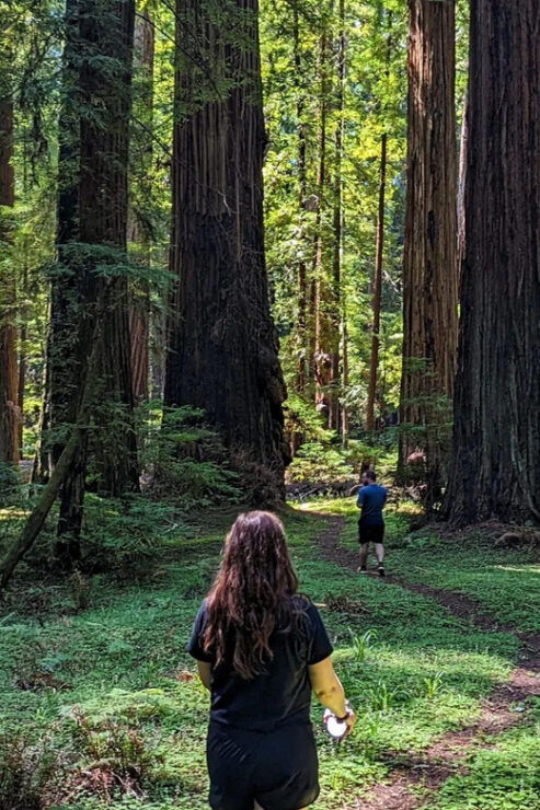 Wonder of the Redwoods - Prairie Creek State Park - Natural Features