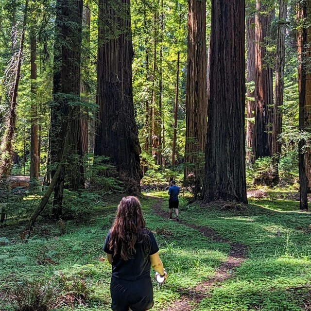 Wonder of the Redwoods - Prairie Creek State Park - Booking Information and Policies