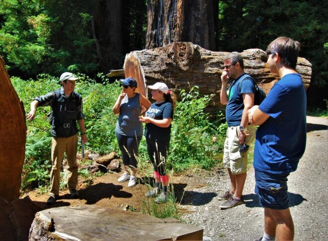 Wonder of the Redwoods - Prairie Creek State Park - What to Bring and Prepare