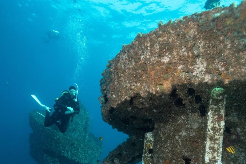 Wonder Reef Diving Experience in Gold Coast - Wonder Reef is a reef with a different design