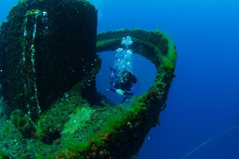 Wonder Reef Diving Experience in Gold Coast - What the group size and instructor support mean