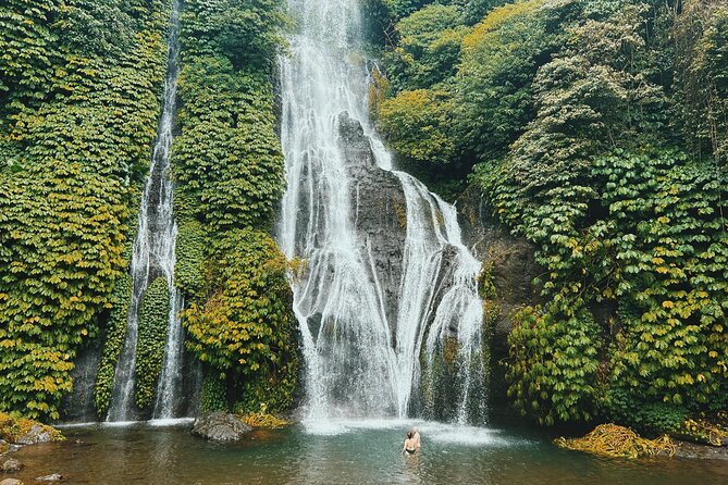 Wonderful Bali Waterfalls Tour Private and All Inclusive - The Sum Up