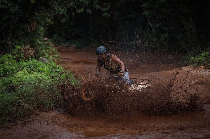 Wonderful Jungle Experience with Horse Riding, ATV, Ziplines and Cenote - The Experience of the Guides and Facilities