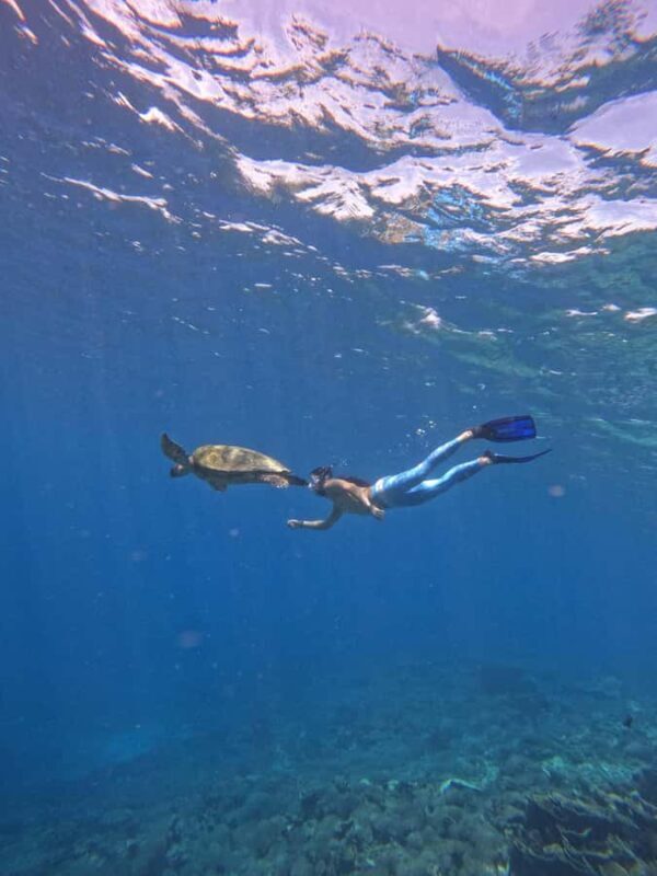 Wonderful Komodo National Park 2-Day Boat Tour - Who Should Consider This Tour?