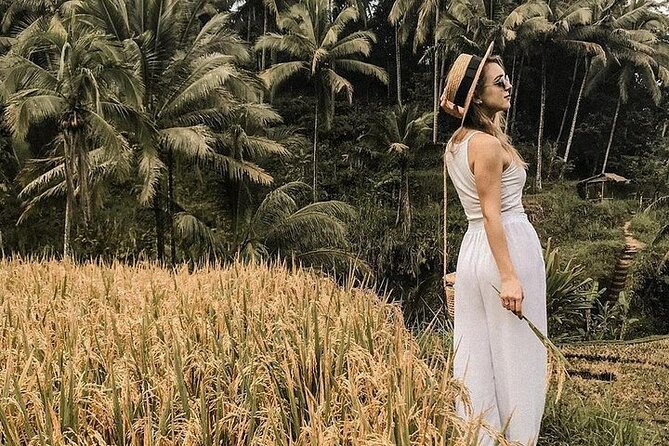 Wonderful of Ubud Tour - (Private & All-Inclusive) - Itinerary Overview