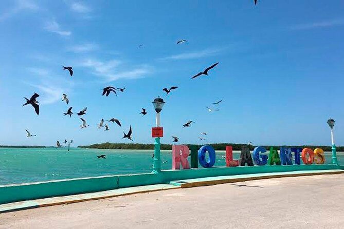 Wonderful Tour Las Coloradas & Buffete only from Cancun - Good To Know