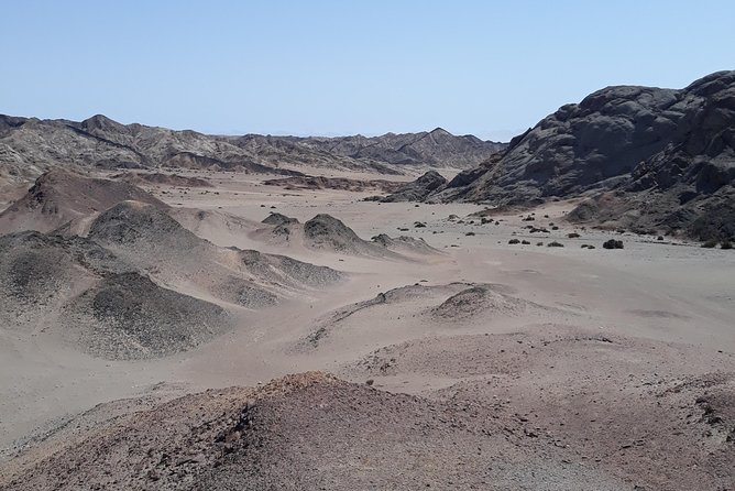 Wonderful Welwitschia Goanikontes Moonlandscape Tour - Accessibility