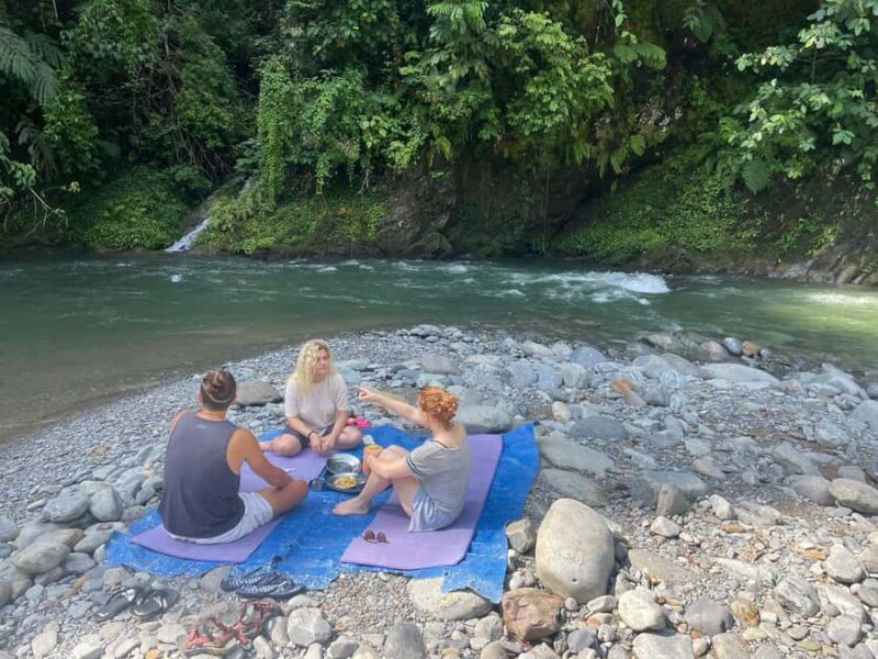 Wonderfull Orangutan Sumatera Jungle Trekking and tour - Real Experiences and Honest Feedback