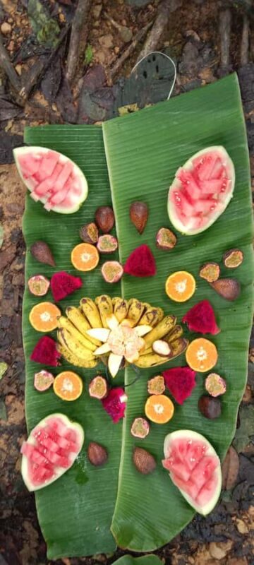 Wonderfull Orangutan Sumatera Jungle Trekking and tour - Frequently Asked Questions